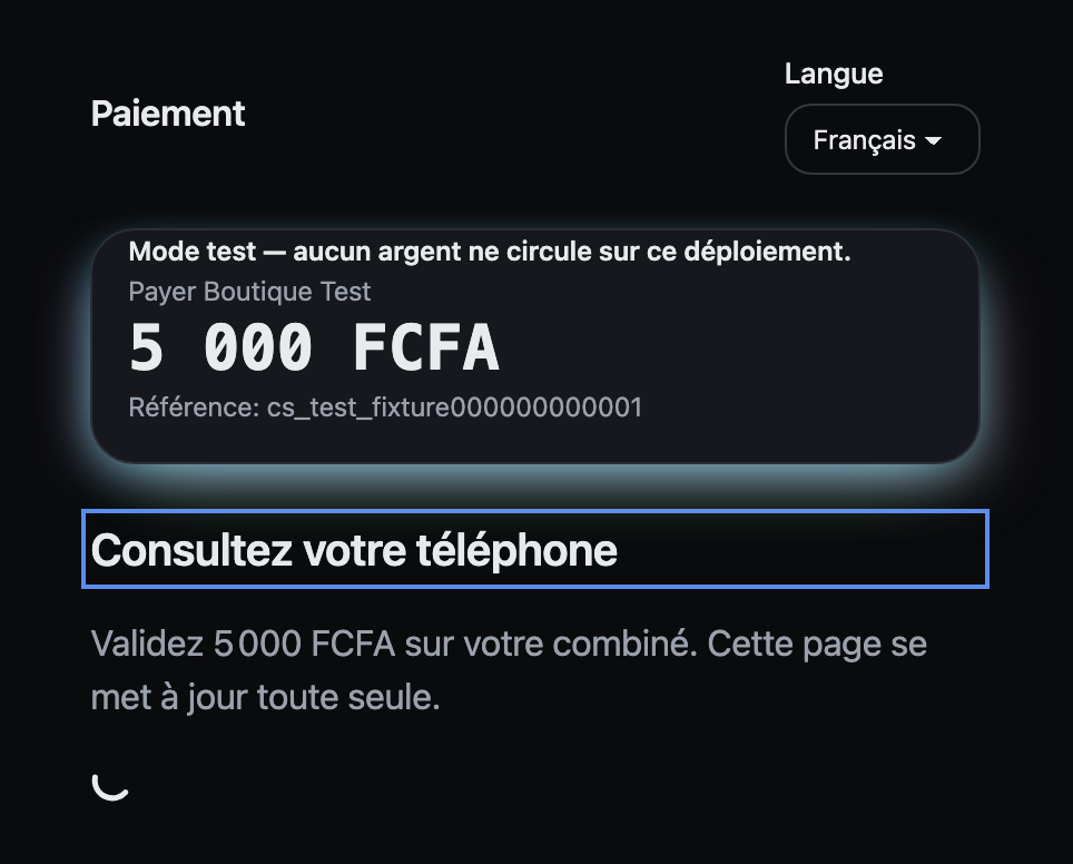 Checkout page in French headed 'Consultez votre téléphone': approve 5 000 FCFA on your handset; the page updates itself. A spinner.